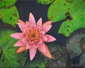 The New Oil Painting The Water Lily By Alex Vishnevsky